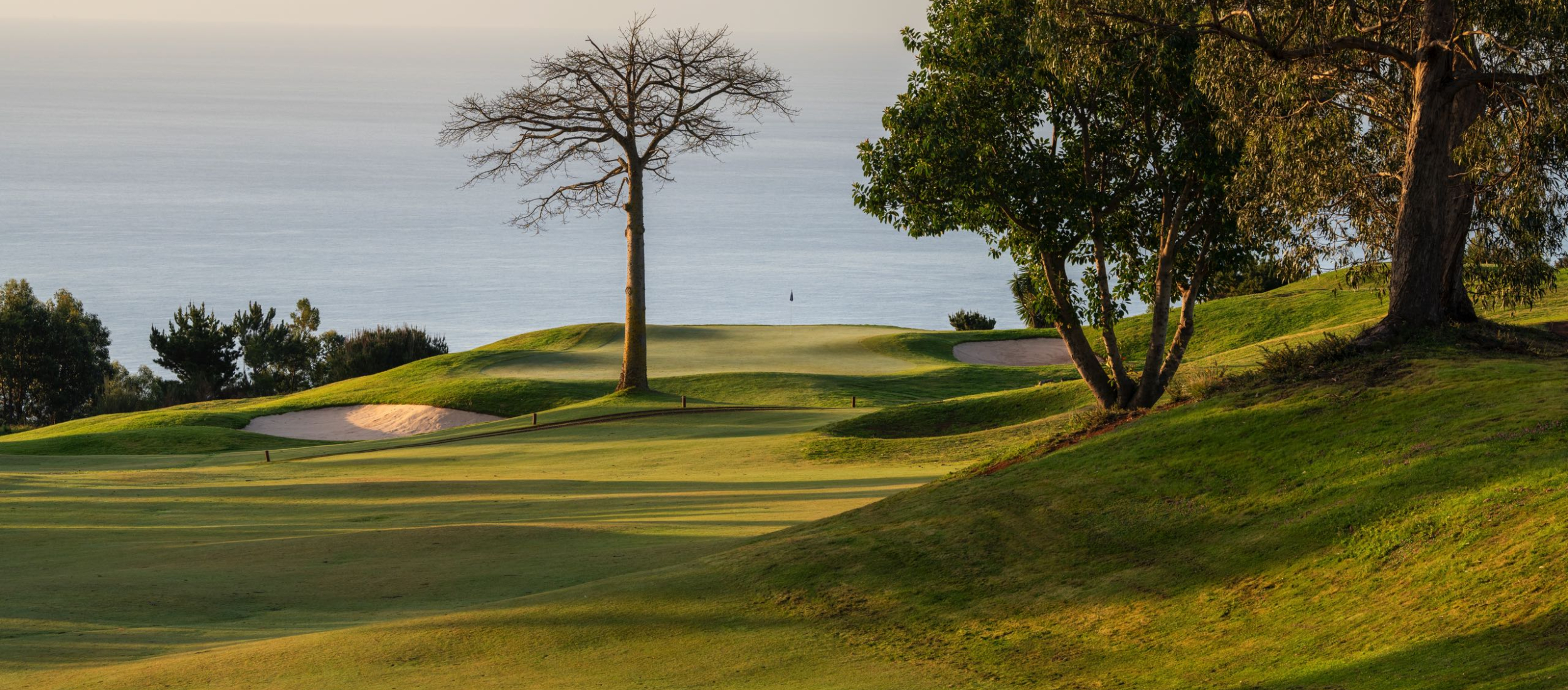 JHogg Palheiro Golf 15 AR508196